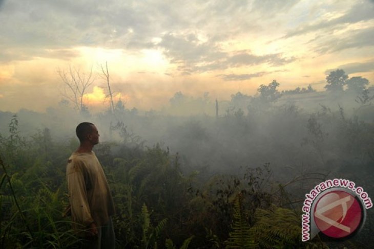 Aalhi calls for tighter control of peat land restoration process