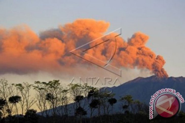 Mount Raung's Volcanic Activity Still High: Official