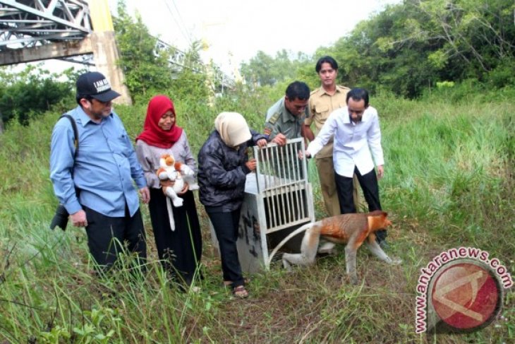 Pelepasan Bekantan Tandai Hari Satwa