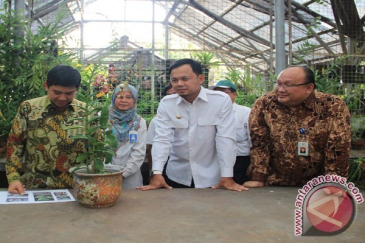 KRB Bentuk Tim Rawat Anggrek Iriana Jokowi