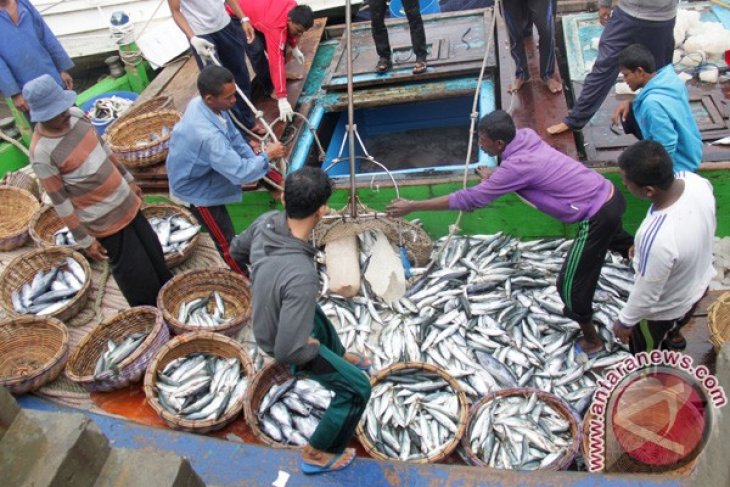  Cuaca Buruk Tangkapan Ikan Menurun