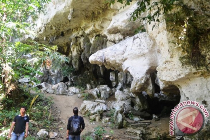 Objek Wisata Goa Sumsum Jadi Tambang Batu Kapur Antara News Kalimantan Selatan