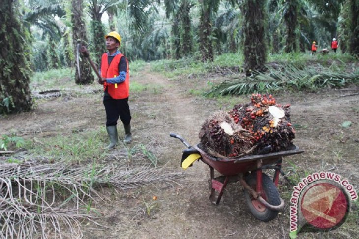 BERSIAP HADAPI KERUGIAN