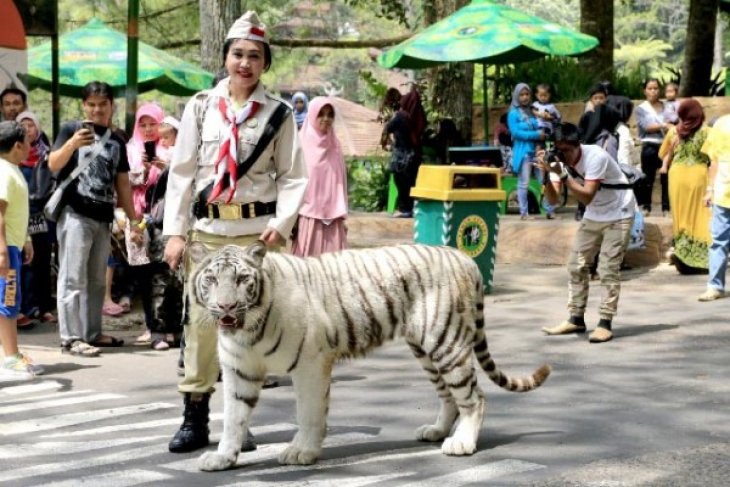 HUT Ke-70 Kemerdekaan RI TSI Bogor