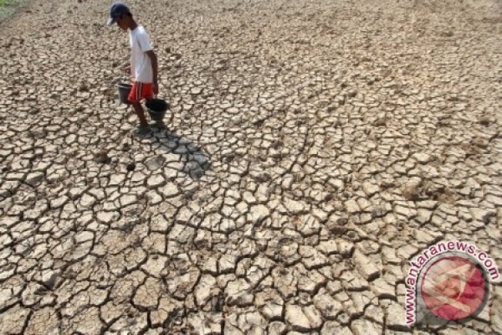 Kekeringan Dampak El Nino
