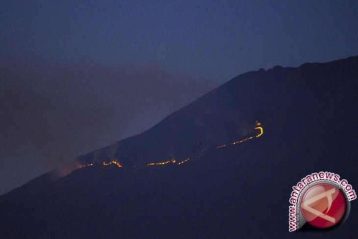 Gunung Sumbing terbakar
