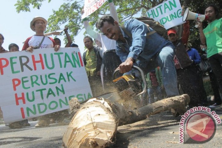 Demo Aktifis Hutan