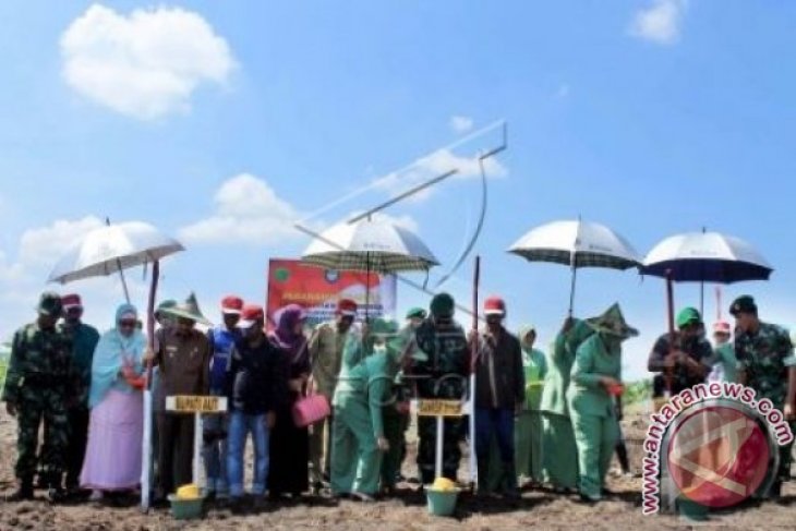 Penanaman Jagung Ketahanan Pangan Indonesia  