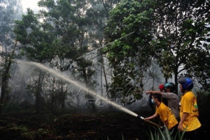 Abaikan Larangan Pembakaran