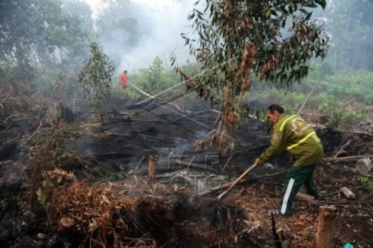 Abaikan Larangan Pembakaran