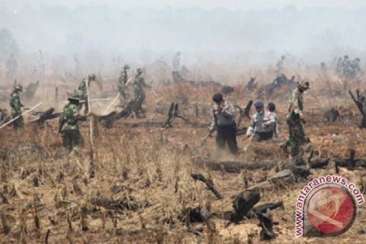 South Kalimantan hopes for more rain to cope with forest fires