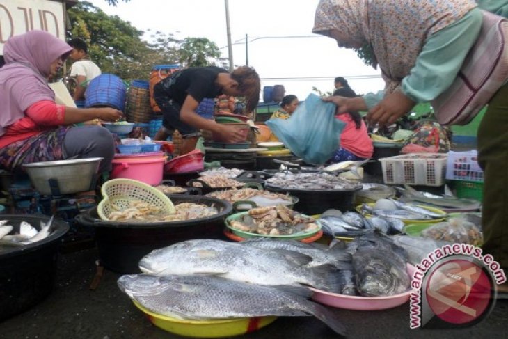 Pasokan Ikan Laut Normal 