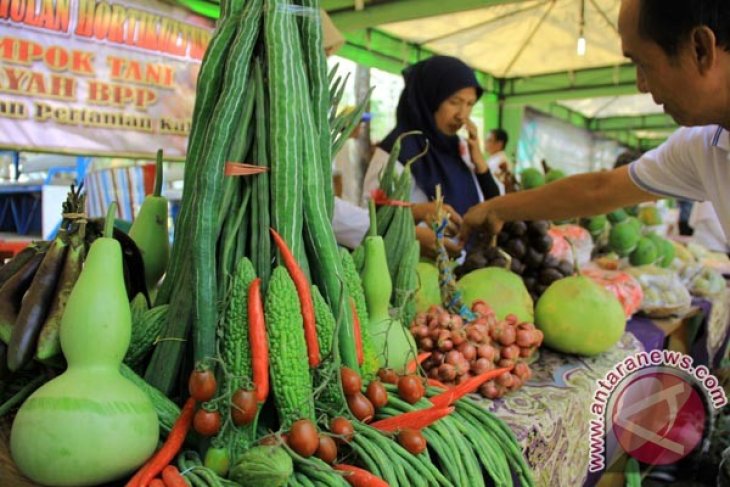 Festival Perkebunan Banyuwangi