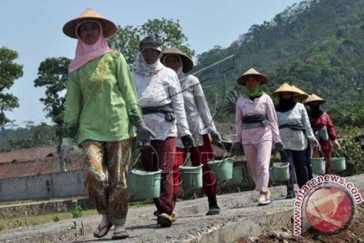 Buruh Tani Ikuti Padat Karya