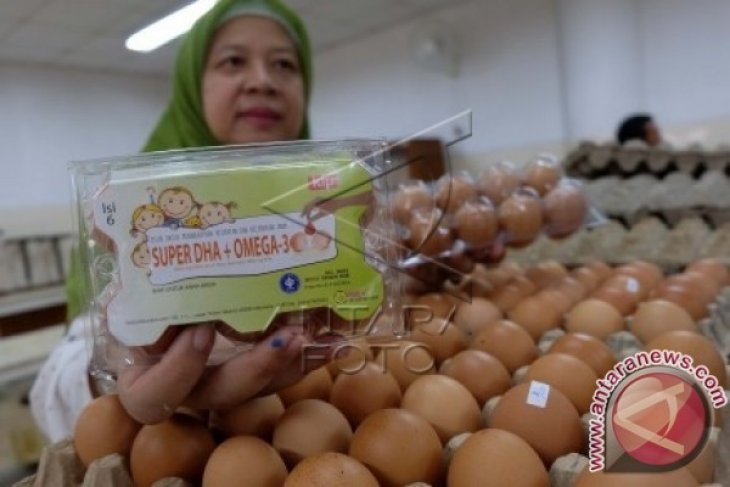 Telur Tinggi Omega 3 dan DHA