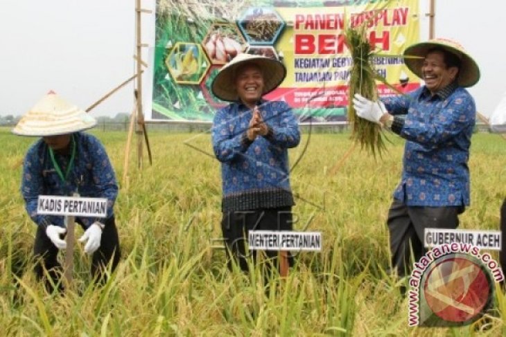 Gebyar Pembenihan Pangan Nasional 2015