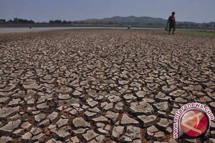 Cara mengatasi dampak El Nino