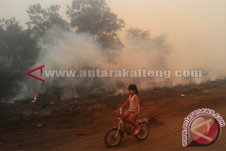 Anak Kecil Saat Melintas Di Lahan Terbakar