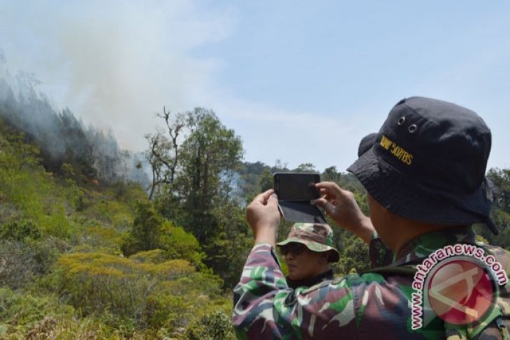 Kebakaran Gunung Lawu