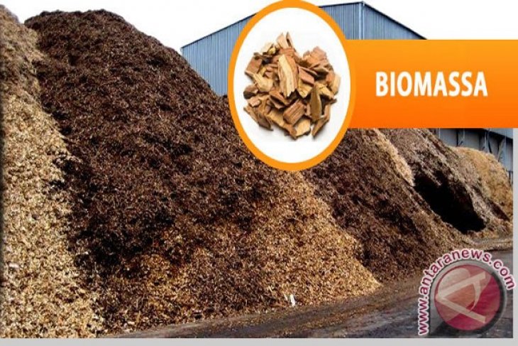  Austral Byna Ingin Bangun PLTU Biomasa 100 Mg