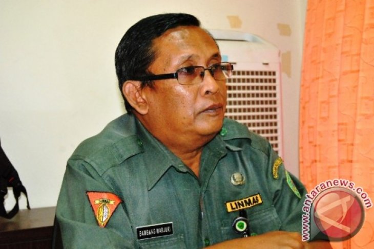 Penajam Distribusikan 12.500 Kilogram Bibit Padi Bersubsidi