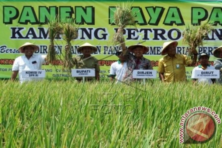 Varietas Padi Anti Genangan Air