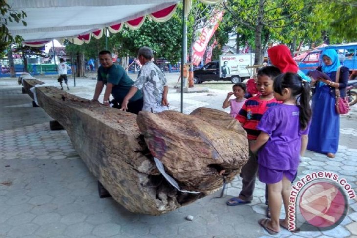 Cagar Budaya Kayu  Jati  Temuan Bojonegoro  ke Museum 