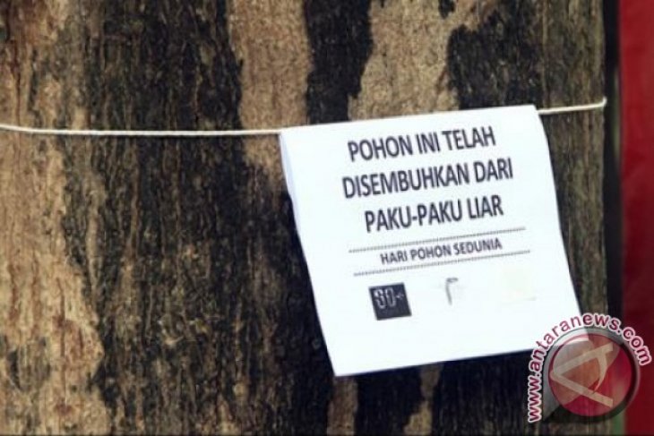 DKP Samarinda Gelar Aksi Cabut Paku