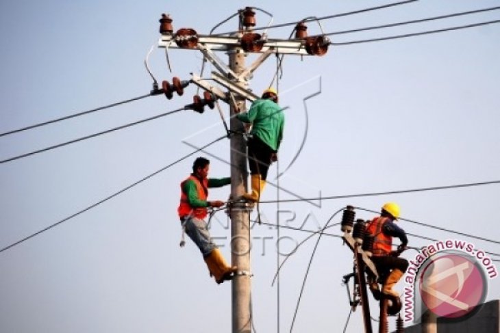 Anggota KEIN: Indonesia berpotensi krisis listrik 1.000 MW