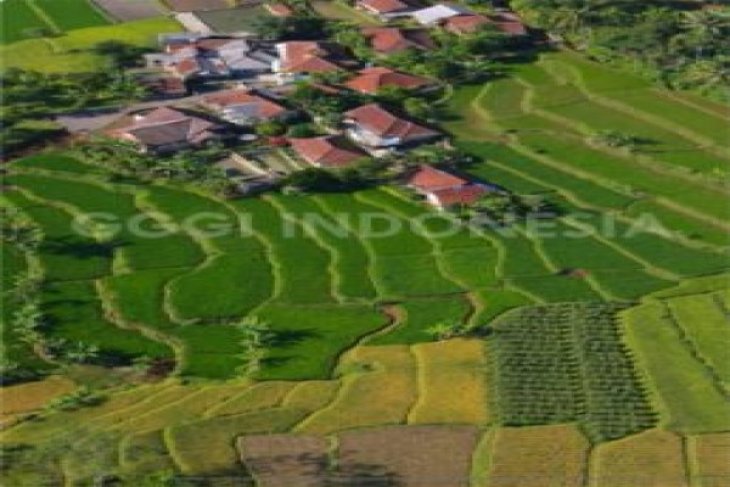 Norwegia Komitmen Program Pertumbuhan Ekonomi Hijau Indonesia