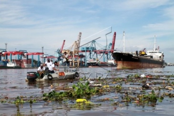 TNI AL Bersihkan Sampah di Kapuas