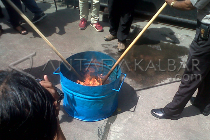 Polda Kalbar Musnahkan Barang-Bukti Ganja Kering 8,5 KG