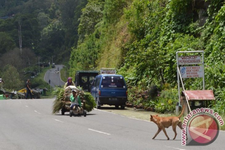 Angkutan Tradisonal Becak lawu