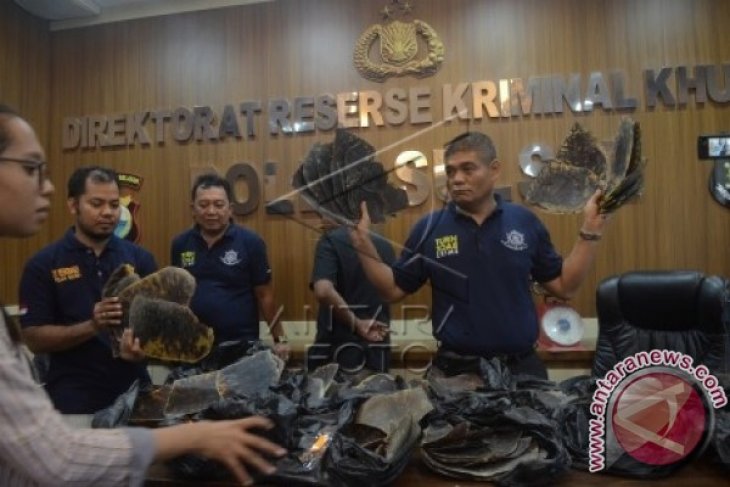 Police Exposes Illegal Sea Turtle Trade Syndicate In Sulawesi
