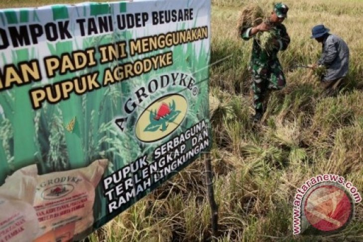 Penggunaan Pupuk Organik Agrodyke