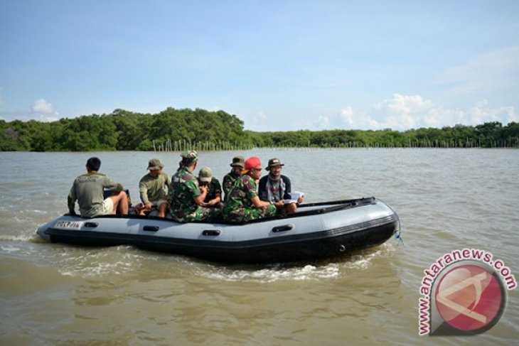 Pengamatan Burung Pantai