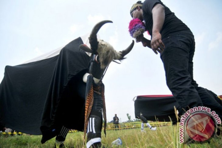 Festival Bantengan Mojokerto