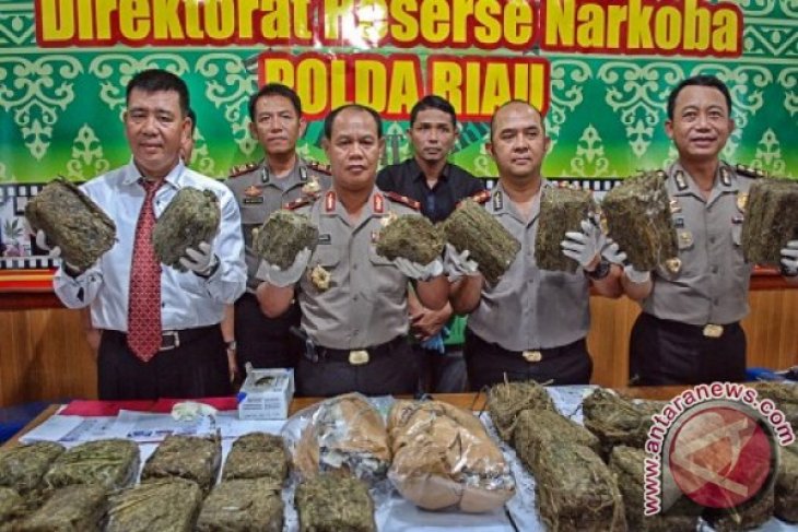 Polisi Amankan 30 kg Ganja Kering