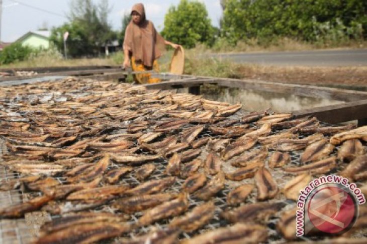 Ikan Kayu Khas Aceh