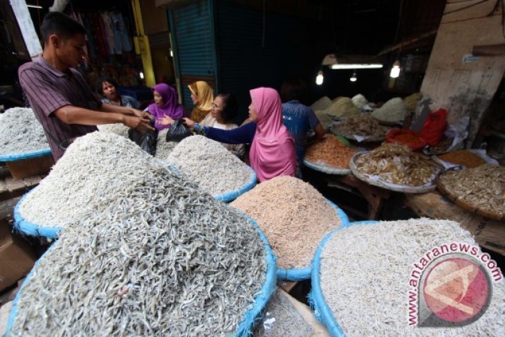 IKAN TERI MEDAN