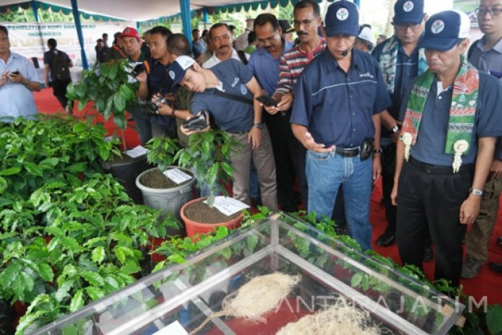 Temu Lapang Kopi