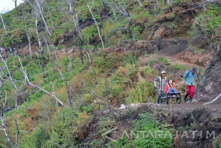 Pendaki Ijen