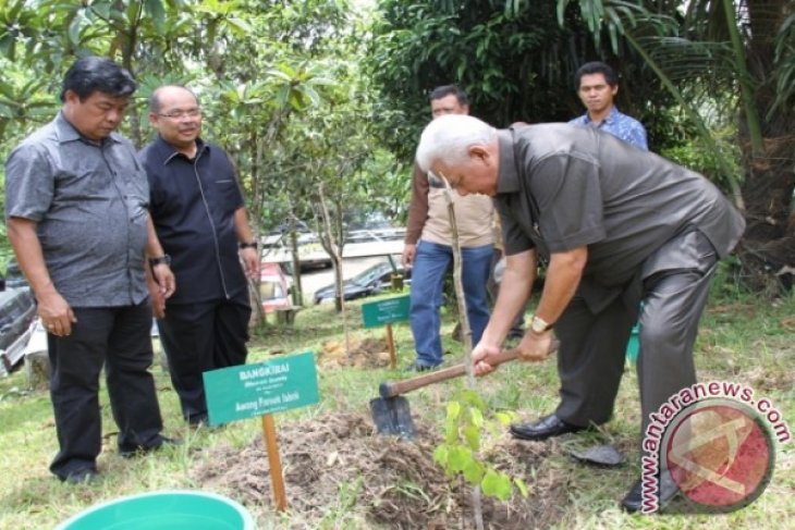 Program Kaltim Hijau Tanam 315.981.926 Pohon