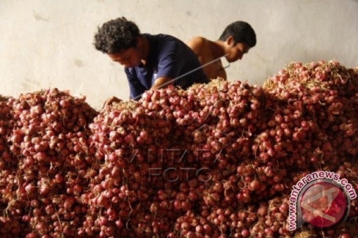 Petani Bawang Merah