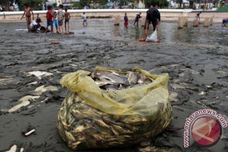 MENANGKAP IKAN DI KOLAM DELI