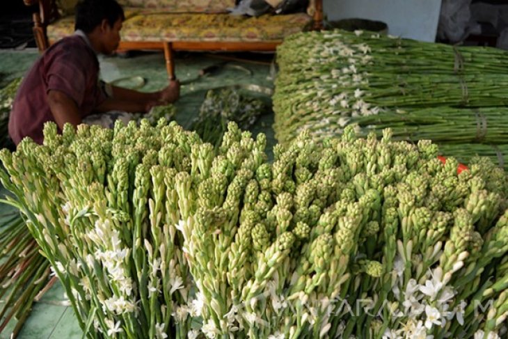 Permintaan Bunga Sedap Malam Meningkat