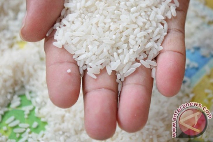 Dinas Pertanian Dorong Kabupaten Perbatasan Surplus Beras