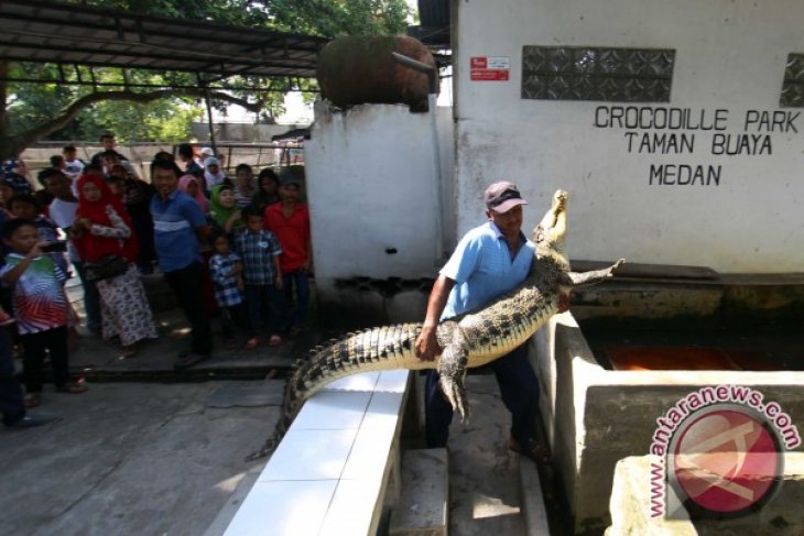 WISATA TAMAN BUAYA