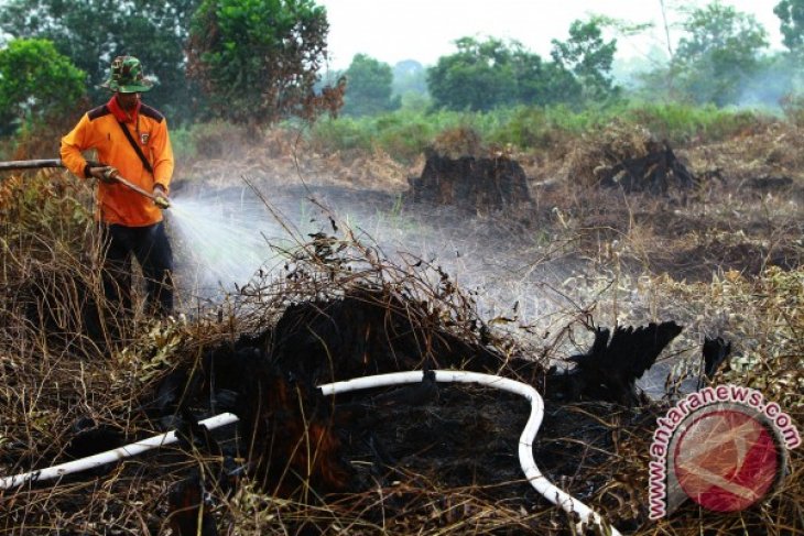 Pemadaman Lahan Gambut Dibakar