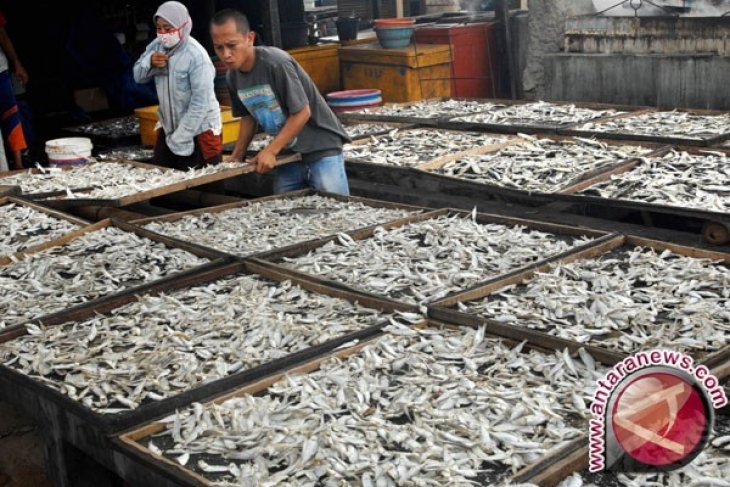 Mahasiswa PNP Buat Alat Pengering Ikan Asin Terprogram